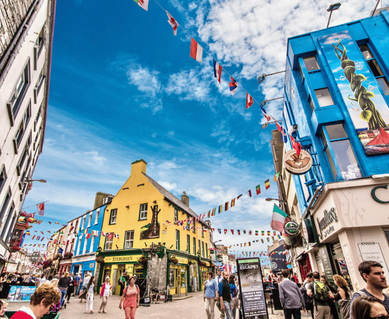 Dublin: Galway Private City and Connemara Tour - Practical Tips & Final Thoughts