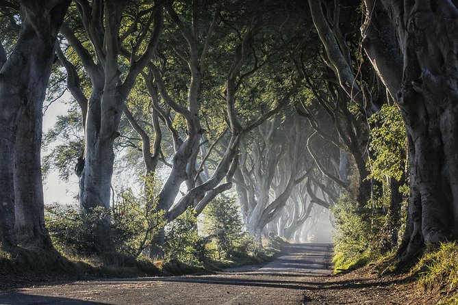 Dublin: Giants Causeway, Dark Hedges, Dunluce and Belfast Titanic Entrance Fee - Giants Causeway