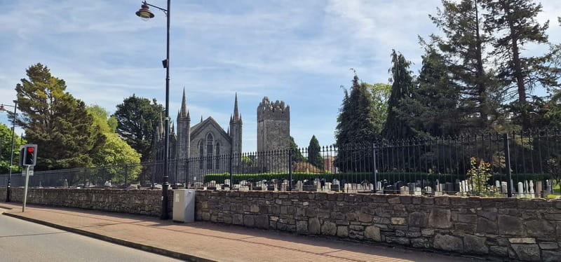 Dublin: Hidden Gem Walking Tour with Local Guide - Discovering Tallaght: A Hidden Side of Dublin
