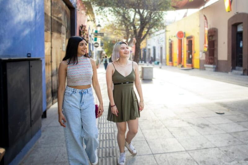 Dublin: Historical and Cultural Historical Walking Tour - Starting at Christ Church Cathedral: The Medieval Heart of Dublin