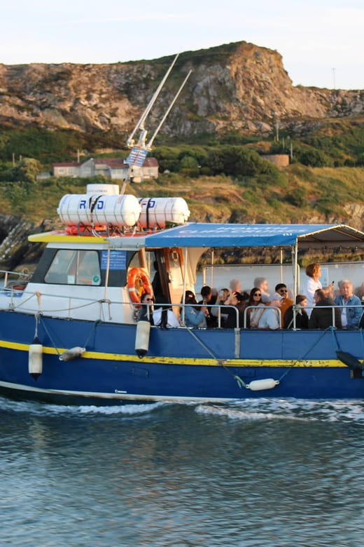 Dublin: Howth Coast and Ireland's Eye Boat Tour - Wildlife and Nature Encounters