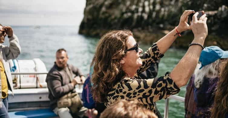 Dublin: Howth Coastal Boat Tour - An Honest Look at the Dublin: Howth Coastal Boat Tour
