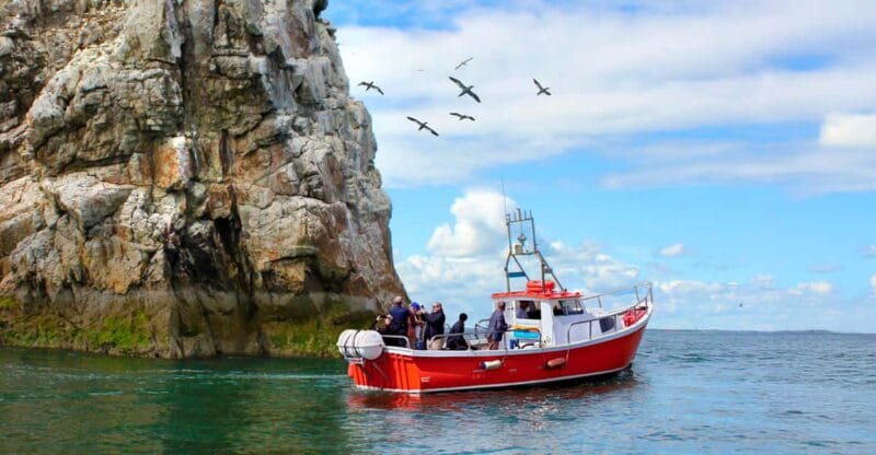 Dublin: Howth Coastal Boat Tour - Key Points / Takeaways
