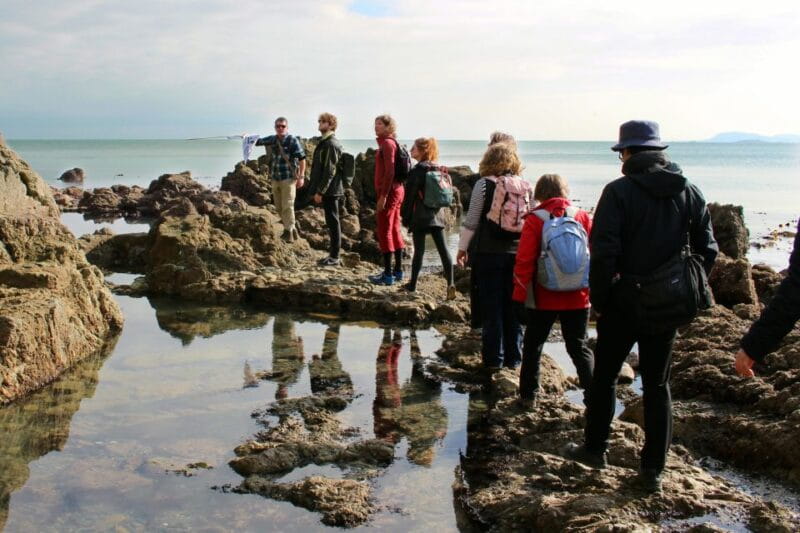 Dublin: Howth Safari Hiking Tour - Final Thoughts: A Memorable Irish Coastline Experience