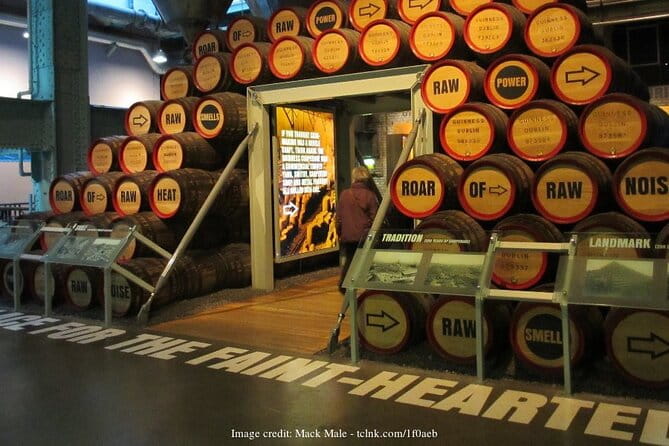 Dublin in a Day Private Tour: Book of Kells & Guinness Storehouse - Price and Logistics: Value for Your Money