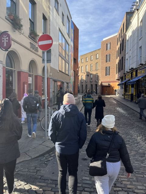 Dublin: Macabre History Walking Tour - Ideal For Who?