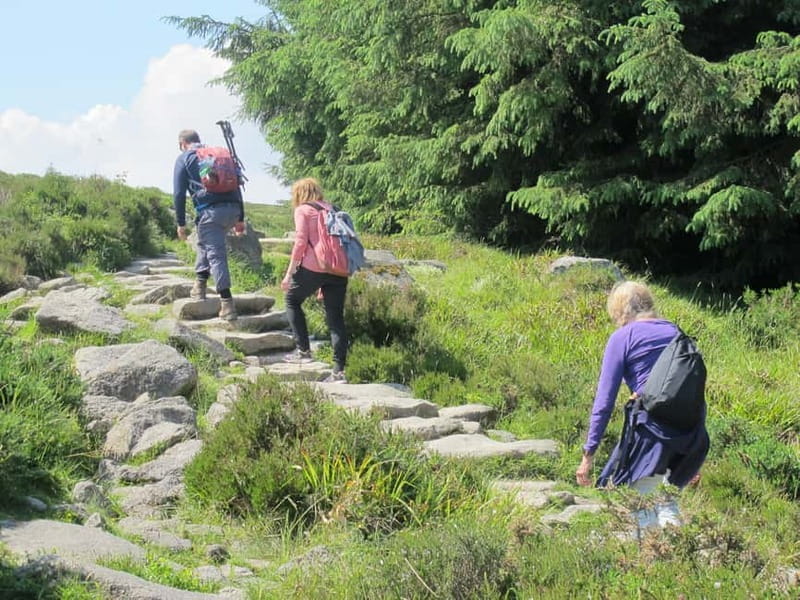 Dublin: Mountains and Megaliths Trek - Exploring the Dublin Mountains and Megaliths