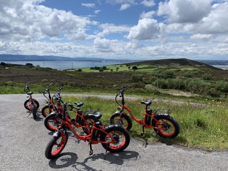 Dublin: Panoramic e-Bike Tour - Who Should Consider This Tour?