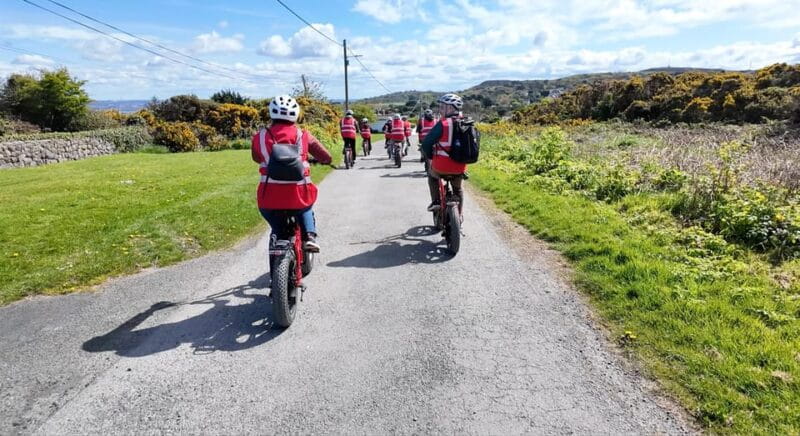 Dublin: Panoramic e-Bike Tour - Final Thoughts