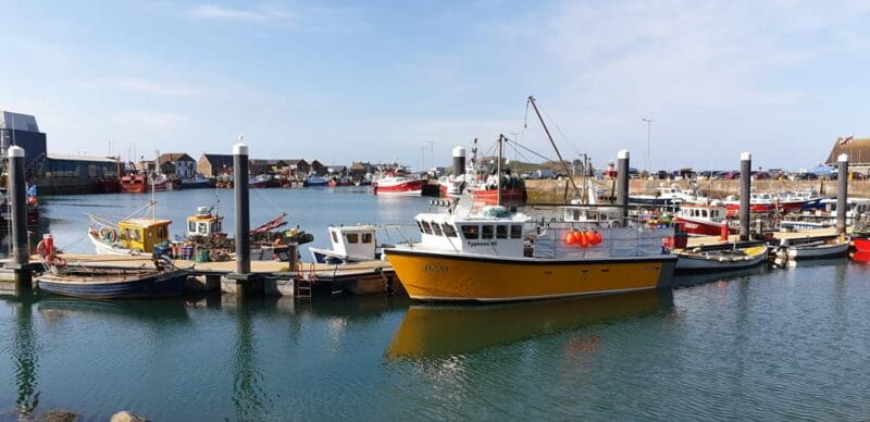 Dublin: Private Day Tour of Howth and Malahide Villages - Key Points/Takeaways