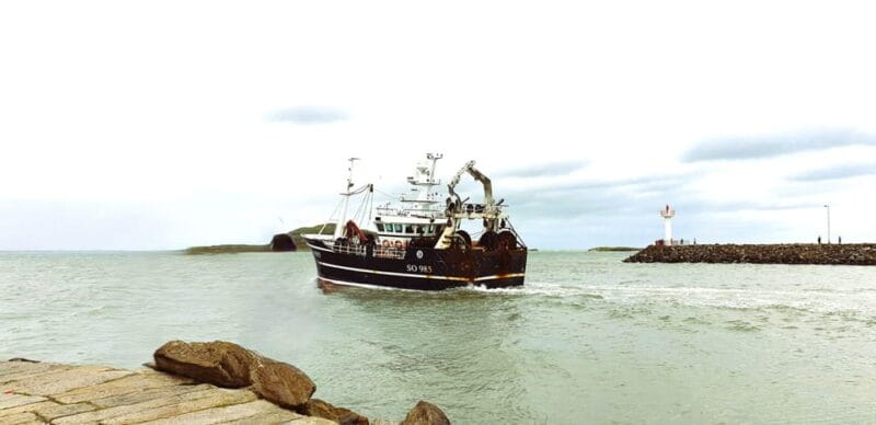 Dublin: Private Day Tour of Howth and Malahide Villages - Final Thoughts