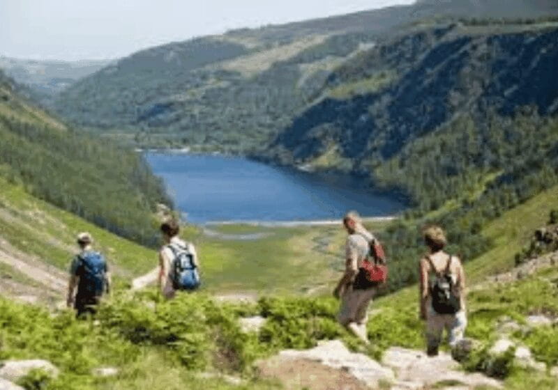 Dublin: Private Tour To wicklow , Glendalough & Powerscourt. - The Sum Up: Who Should Book This Experience?