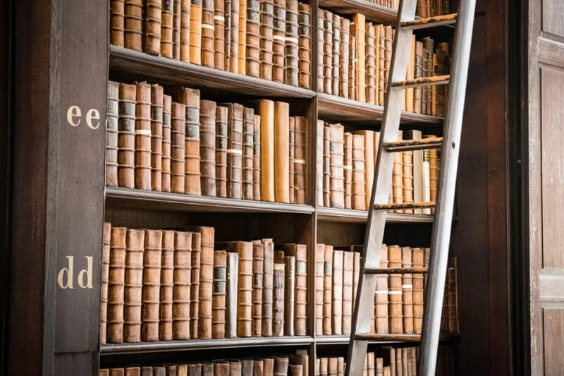 Dublin: St Patrick's, Book of Kells, and Dublin Castle Tour - Ending at the Book of Kells or Guinness Storehouse