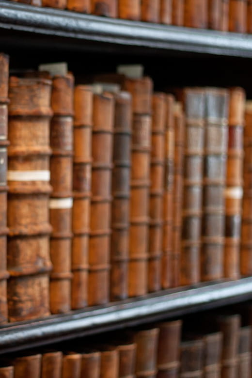 Dublin: St Patrick's, Book of Kells, and Dublin Castle Tour - Price and Value Analysis