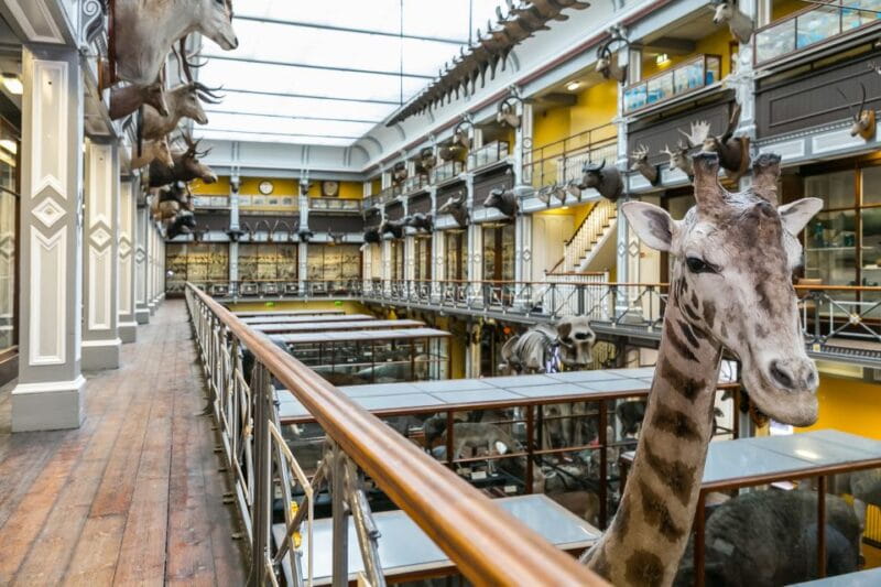 Dublin: The Dublin Pass with Tickets to 40+ Attractions - Frequently Asked Questions