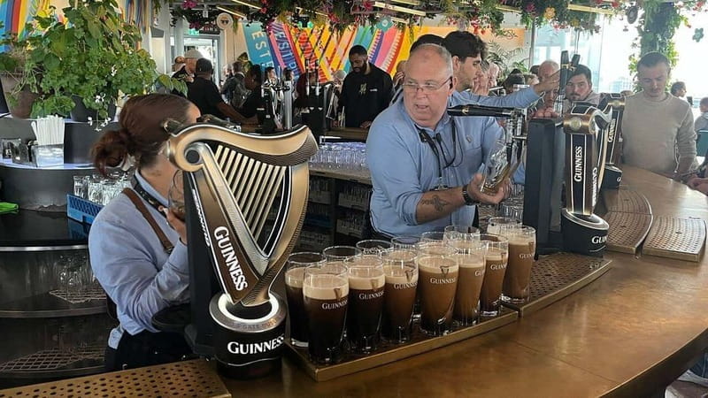 Dublin: Voyagers Private Luxury City Tour with Driver-Guide - Price and Logistics: Is It Worth It?