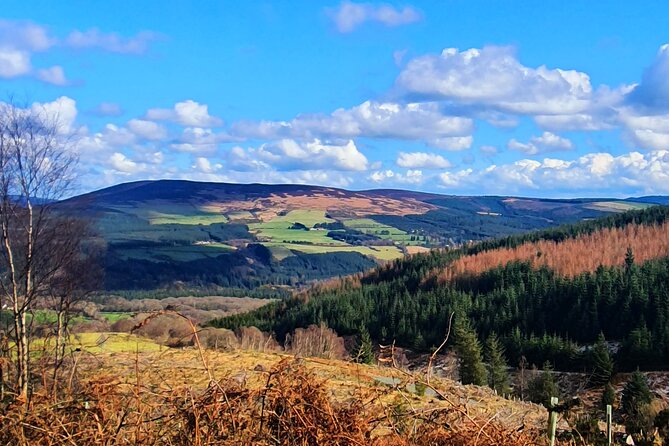 Dublin & Wicklow Mountain Pub Tour Small Group Tour Max 15 People - Additional Tour Options