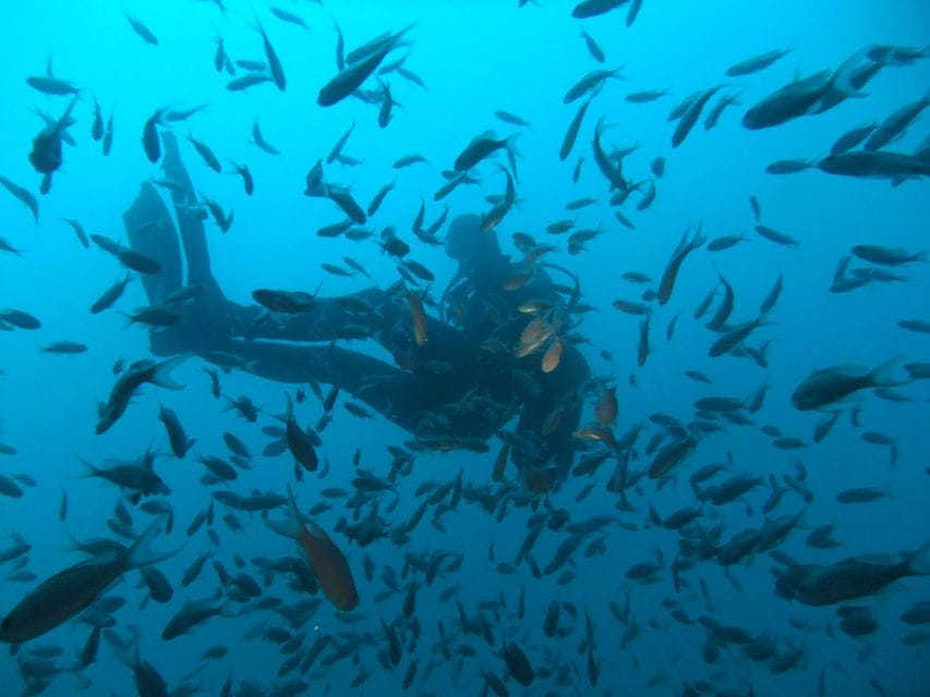 Dubrovnik: 1-Day Diving Package - Diving Highlights