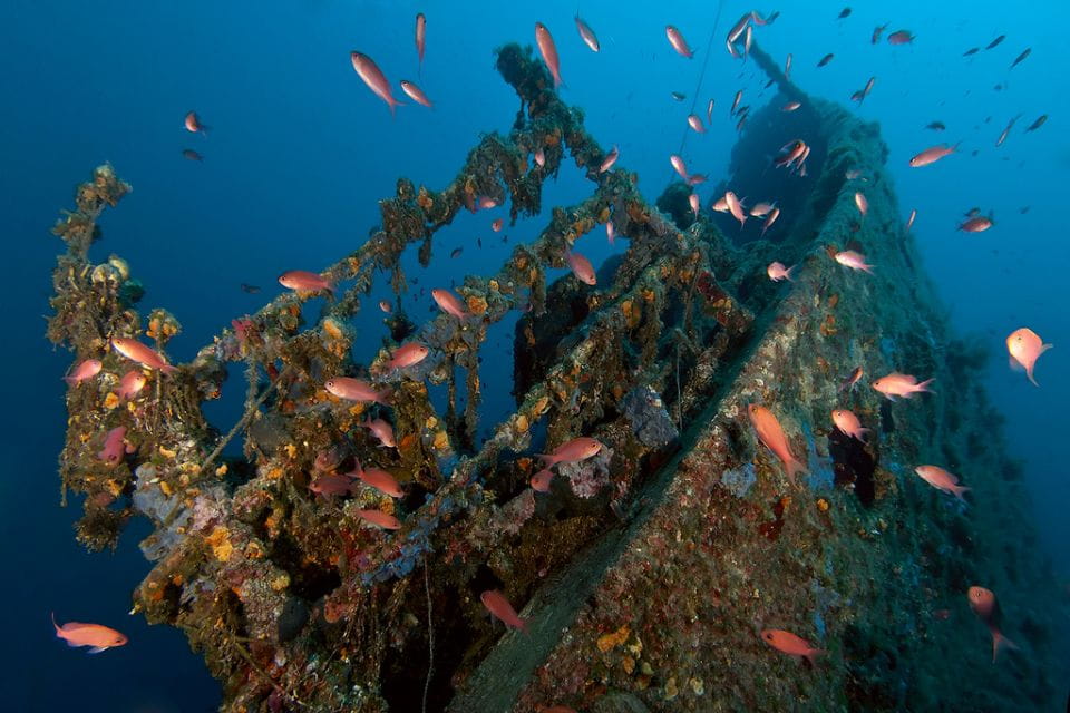 Dubrovnik: 1-Day Diving Package - Dive Sites and Locations