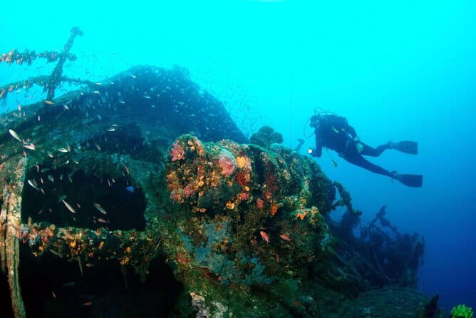 Dubrovnik 1 Dive for Certified Divers - Key Points / Takeaways