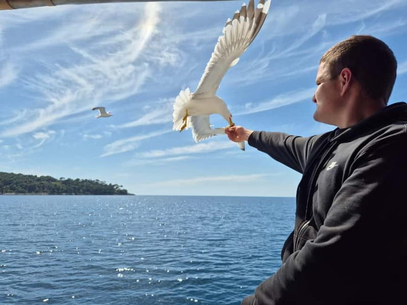 Dubrovnik: 3 Island Boat Tour with Lunch and Guide - Price and Logistics: Getting the Most Out of Your Day