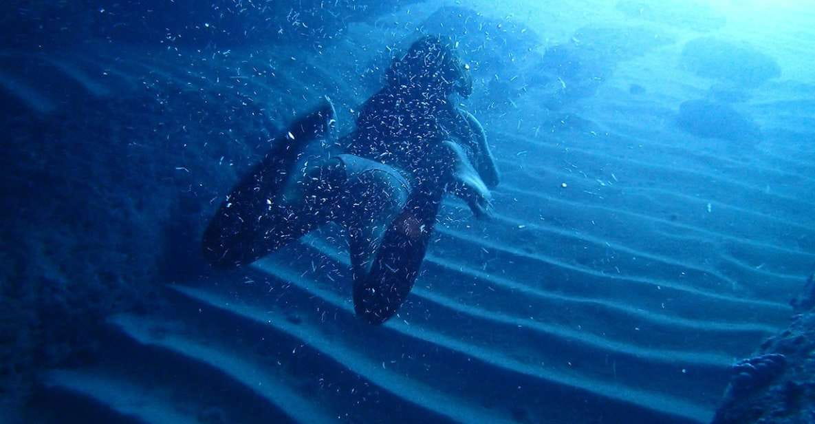 Dubrovnik: Blue Cave Tour With Panoramic Old Town View - Included Amenities