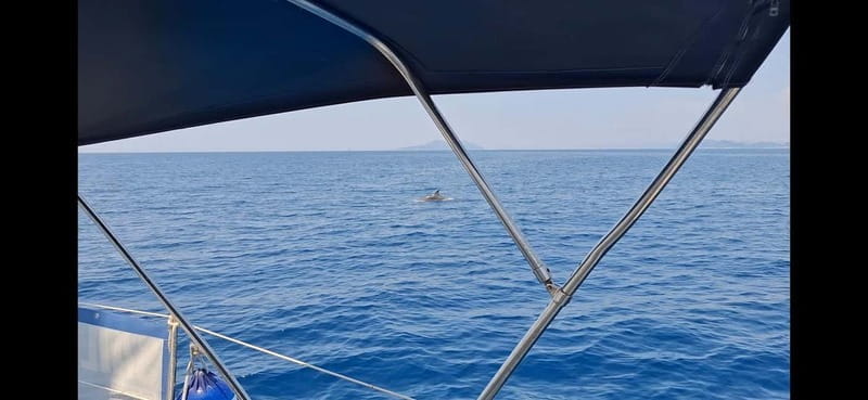 Dubrovnik :Full day private tour to Elafity island&Blue cave - The Yacht and Amenities: Comfort and Practicality