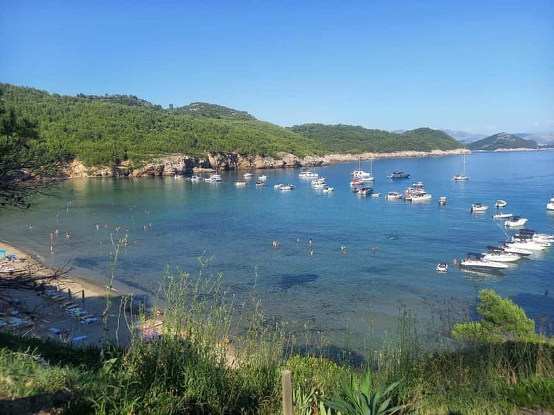 Dubrovnik: Hvar Island Luxury Mini Yacht Tour - Price, Logistics, and Who It’s Best For