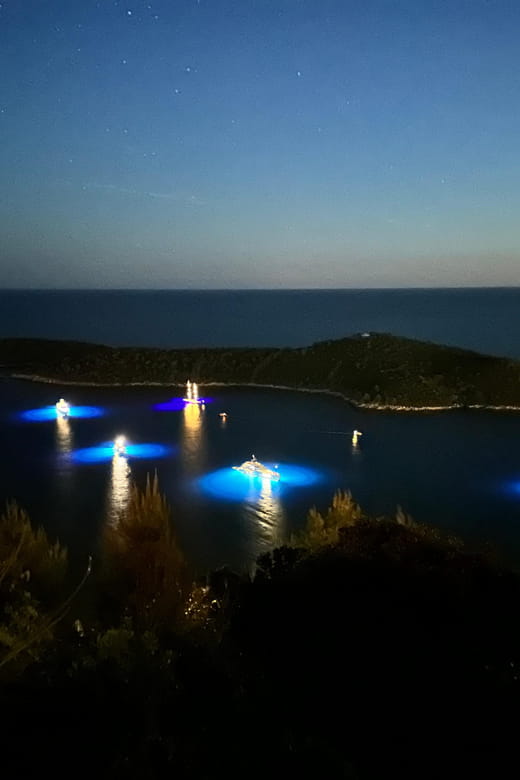 Dubrovnik Night Drive: Lights of the Adriatic - FAQs