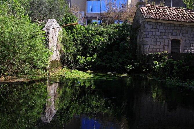 Dubrovnik Panoramic Sightseeing Tour - Transfer and Small-Group Size