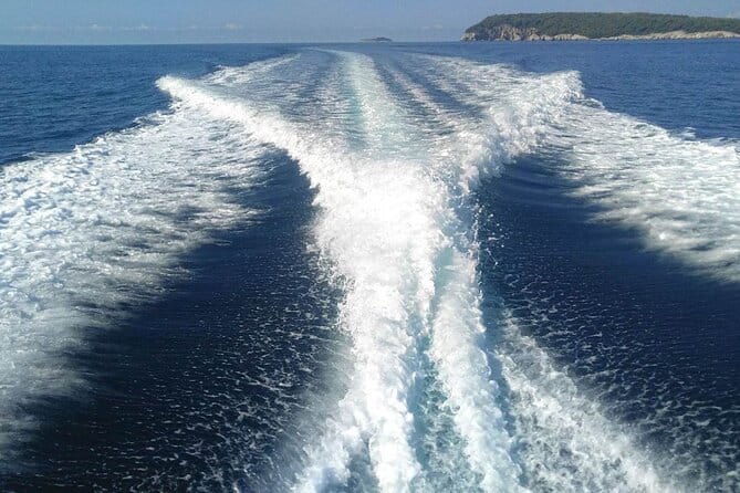 Dubrovnik Private Speed Boat Tour to the Islands - Price and Logistics