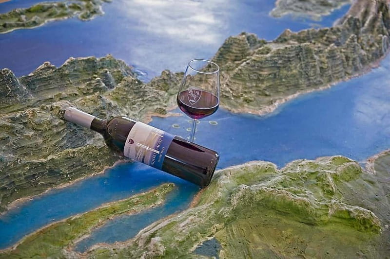 Dubrovnik: Private Tour with Oyster Tasting - Who Will Love This Tour?