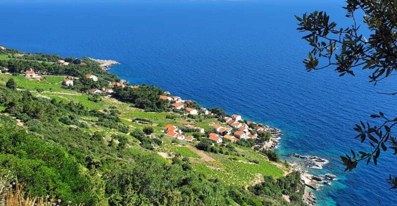Dubrovnik Private Wine Tasting Tour To Peljesac - Key points / Takeaways