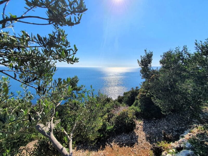 Dubrovnik Private Wine Tasting Tour To Peljesac - The Delicious Seafood Lunch at Konoba Vitacea