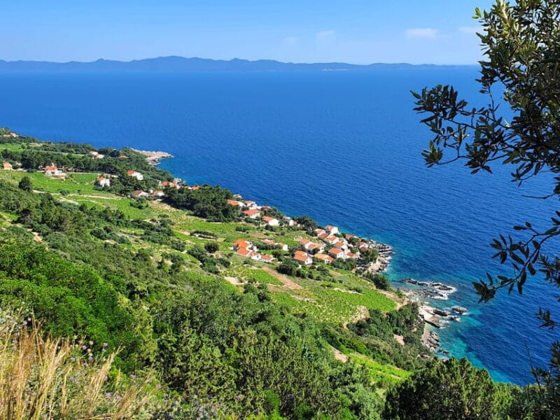 Dubrovnik Private Wine Tasting Tour To Peljesac - Flexibility and Value of the Tour