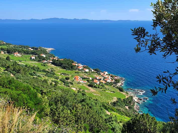 Dubrovnik Private Wine Tasting Tour To Peljesac - Perfect For: Who Will Love This Tour?