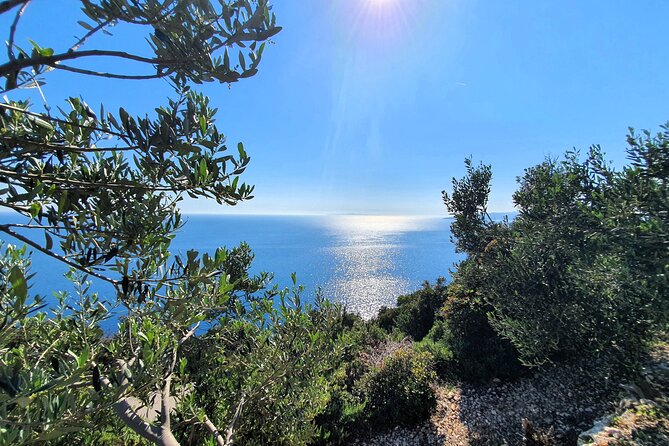 Dubrovnik Private Wine Tasting Tour To Peljesac - Additional Information