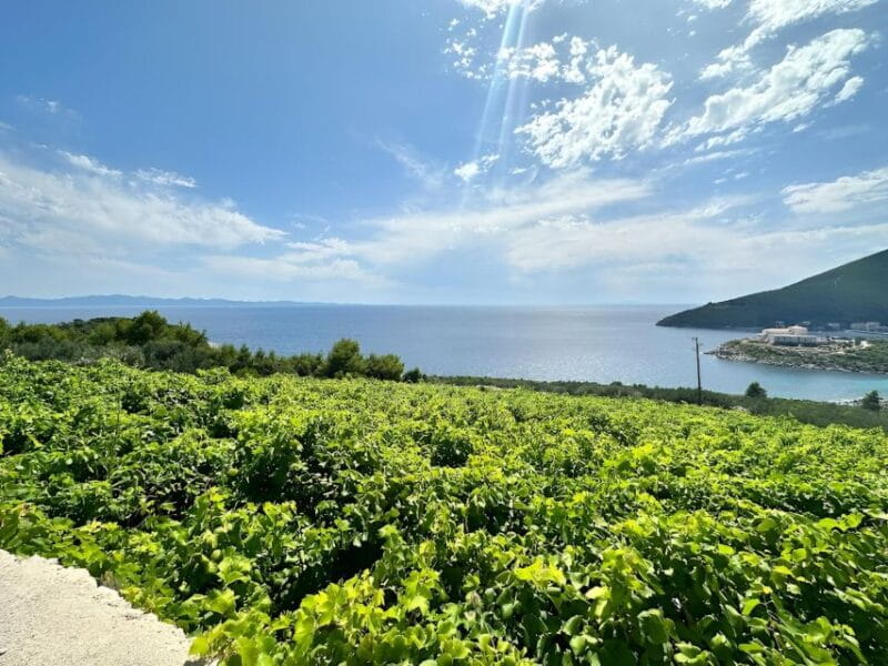 Dubrovnik: Private Wine Tour to Peljeac Peninsula - Starting in Dubrovnik and Transport