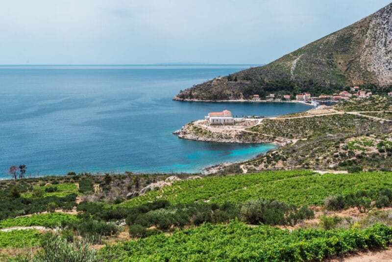 Dubrovnik: Private Wine Tour to Peljeac Peninsula - Pricing and What It Gets You