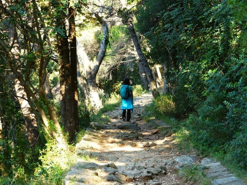 Dubrovnik: Rise and Shine Hike - Price and Logistics: Making It Work for You