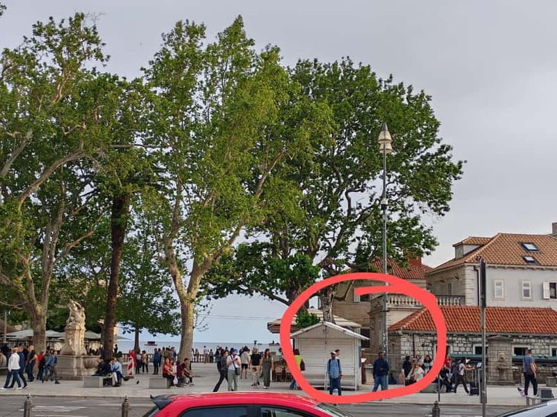 Dubrovnik: Sea Kayaking&Snorkelling Guided Day/Sunset Tours - Who Will Love This Tour?