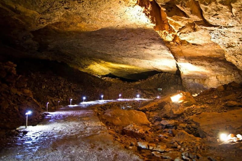 Dubrovnik: Vjetrenica Cave, Ombla and Trsteno Arboretum Tour - Who Will Love This Tour?