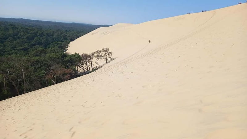 Dune du Pilat, Oysters Tasting and Arcachon! What else ? - Exploring Arcachon Town
