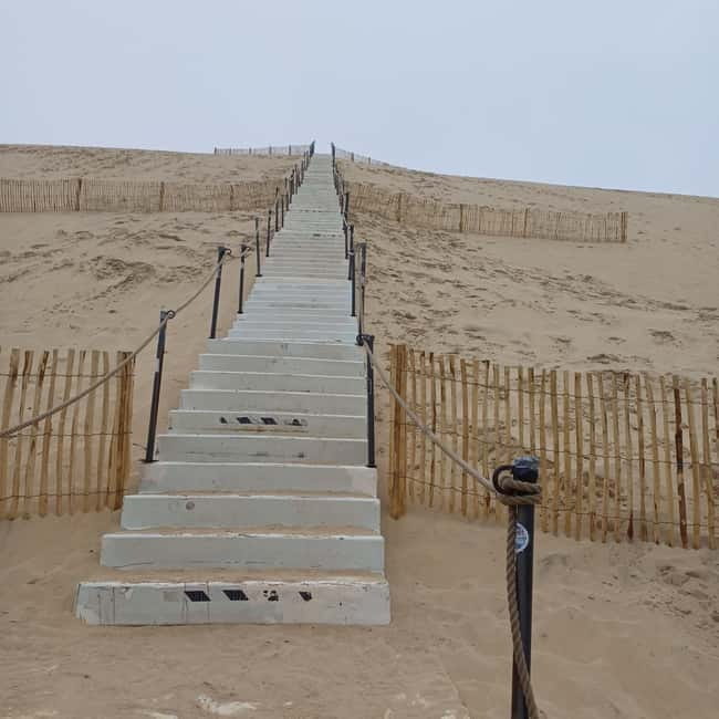Dune du Pilat, Oysters Tasting and Arcachon! What else ? - Transportation and Logistics: What You Need to Know