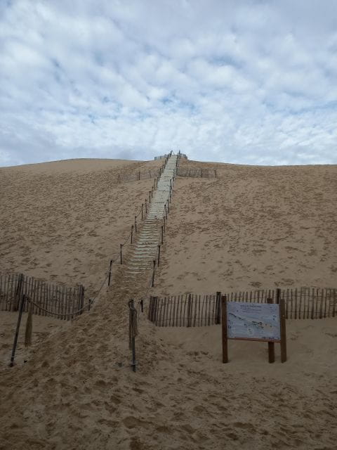 Dune of Pilat and Oyster Tasting! What Else? - Itinerary Overview