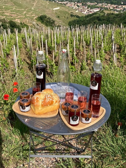 DUO PARENTS CHILDREN WINE CÔTE-RÔTIE TOUR VISIT - Tasting Experiences for All Ages