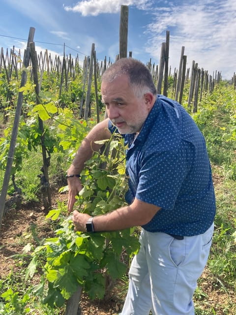 DUO PARENTS CHILDREN WINE CÔTE-RÔTIE TOUR VISIT - Price and Overall Value