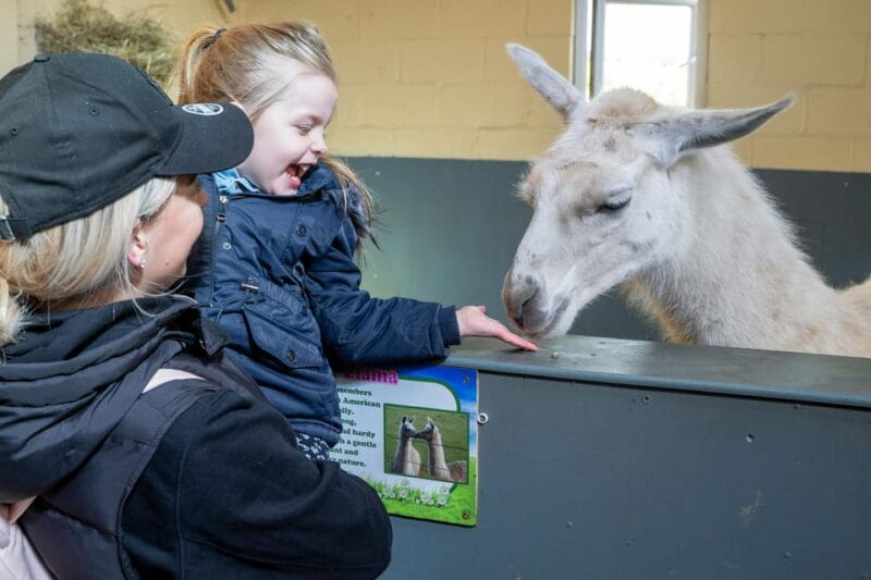 Durham: Adventure Valley Farm Park Entry Ticket - Detailed Review of Adventure Valley Durham