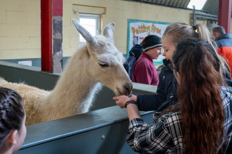 Durham: Adventure Valley Mini Golf Admission Ticket - How Does It Compare to Other Options?