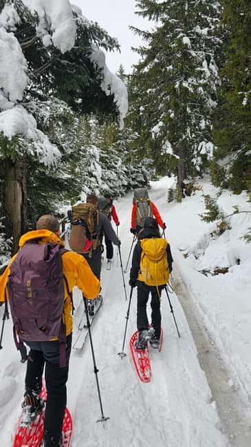 Durmitor National Park: Snowshoeing Hike to Base Camp - Key Points & Takeaways